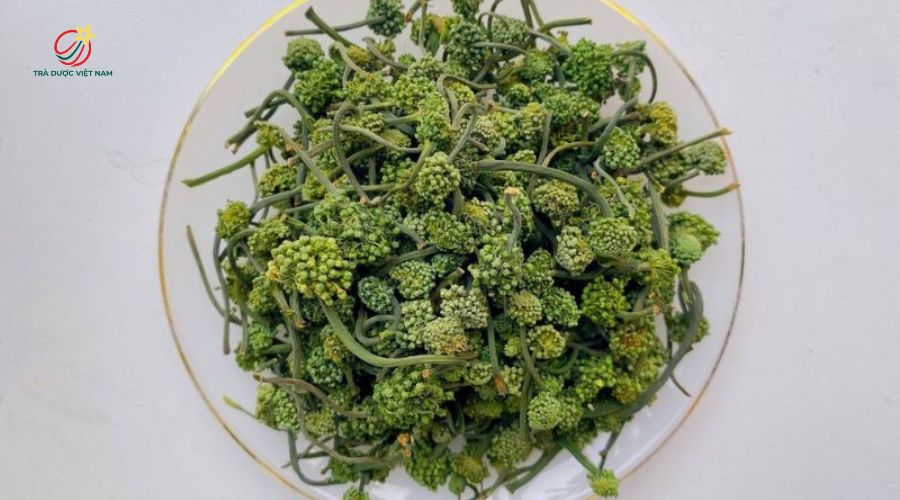 Nụ hoa tam thất là một chất chống viêm tự nhiên mạnh mẽ