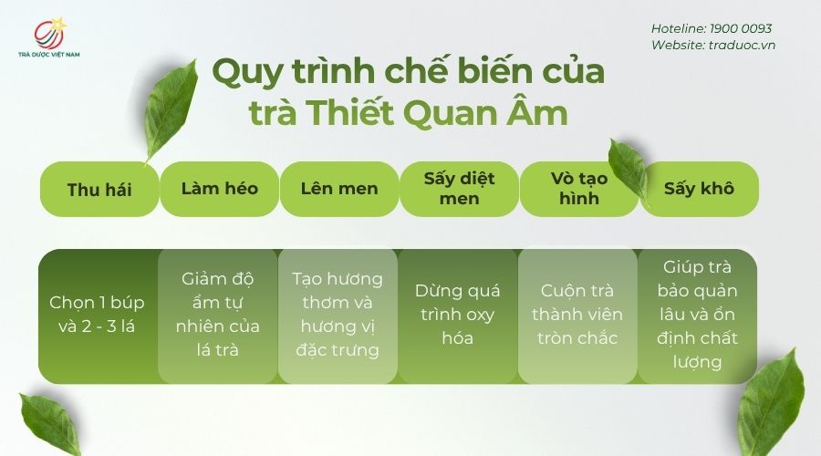 Quy trình chế biến của trà Thiết Quan Âm có 6 bước