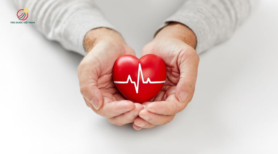 Trà chứa catechin và nhiều chất chống oxy hóa tự nhiên giúp bảo vệ tim mạch