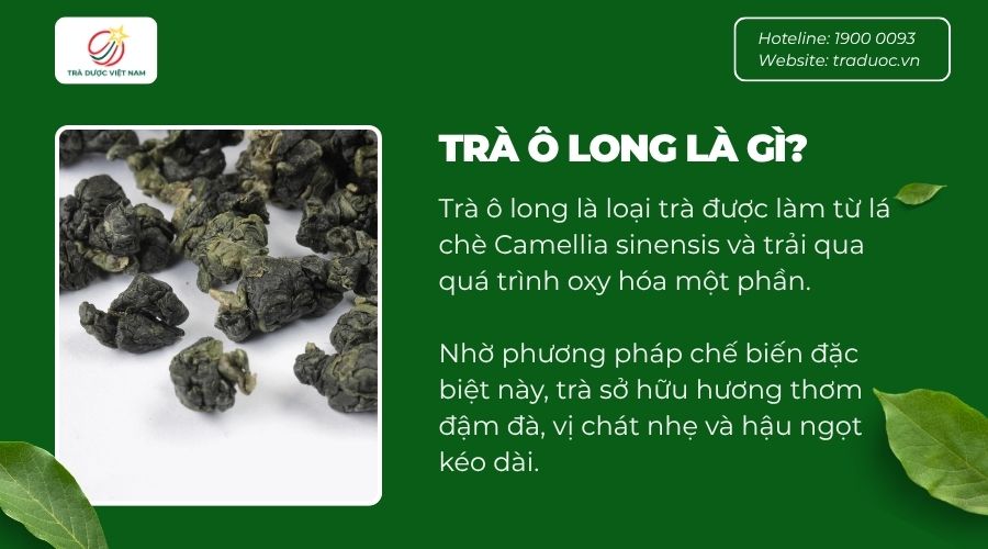 Trà ô long là dòng trà bán lên men được làm từ lá của cây chè Camellia sinensis