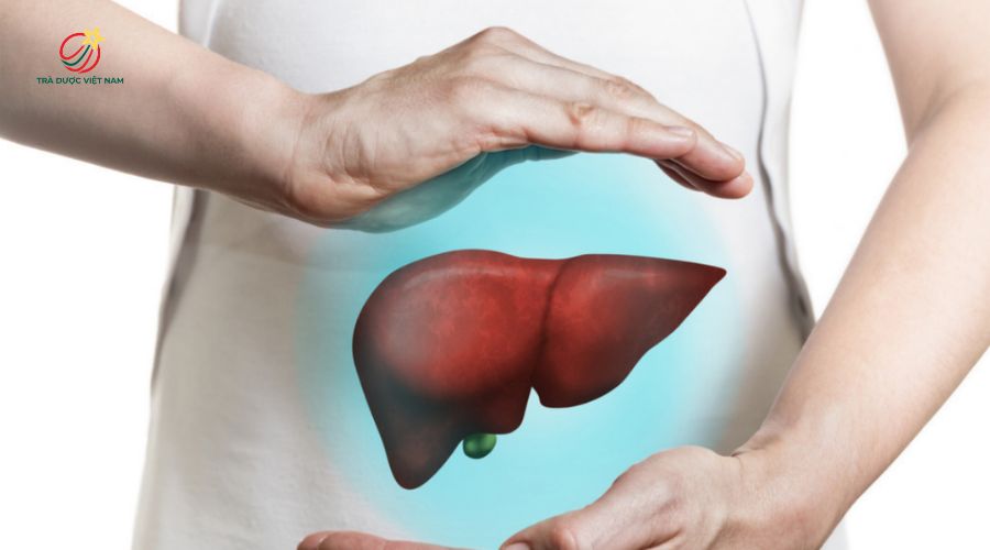 Nhờ tính mát tự nhiên từ lá dứa, trà giúp bạn thanh nhiệt và mát gan