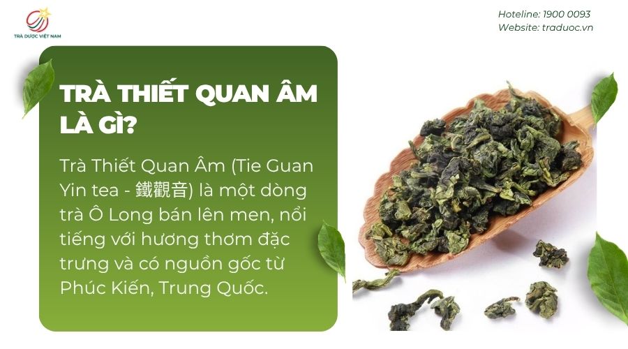 Trà Thiết Quan âm thuộc nhóm trà Ô Long bán lên men